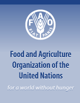 Food and Agriculture Organisation