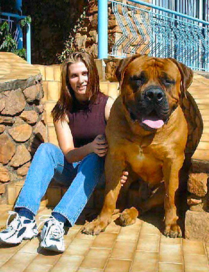 Jethro - the big dog